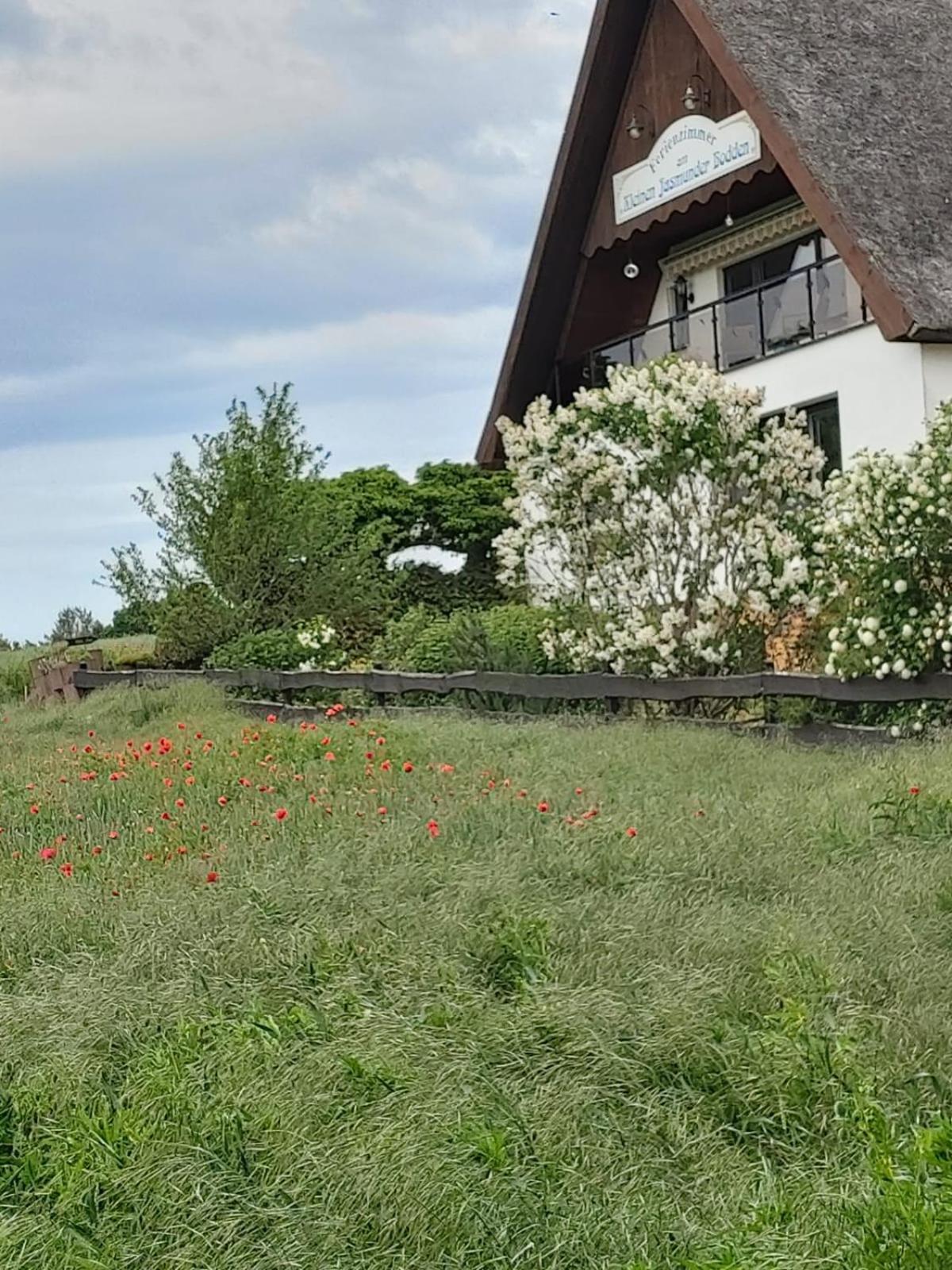 Pension Petersen Bergen Auf Rugen Ruang foto