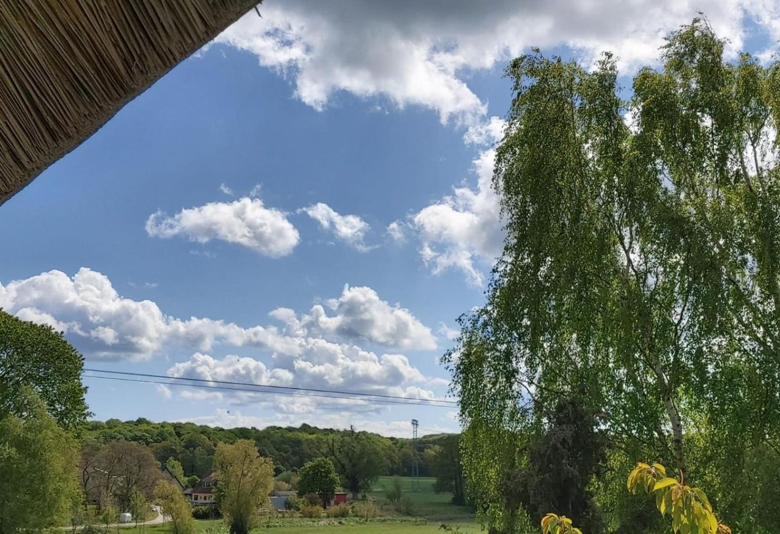 Pension Petersen Bergen Auf Rugen Ruang foto